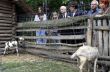 Jarosław Kaczyński odwiedził rodzinę Milczarków prowadzącą rodzinny dom dziecka - Wiktorów, 30 maja 2010
