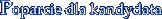 Poparcie dla kandydata